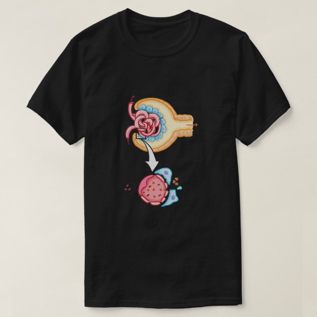Bowmans capsule Nephron Kidney Glomerulus T-Shirt (Design Front)