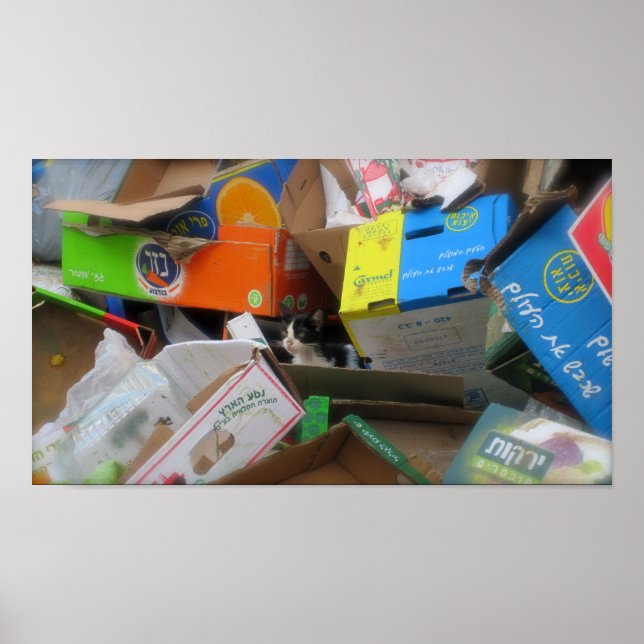 Box Cat 2 Poster (Front)