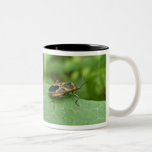 Box Elder Bug Coordinating Items Two-Tone Coffee Mug (Right)