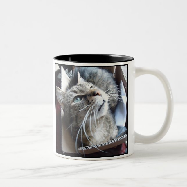 Box o Cat Two-Tone Coffee Mug (Right)