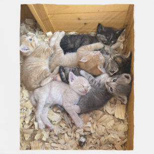 BOX of KITTENS Fleece Blanket