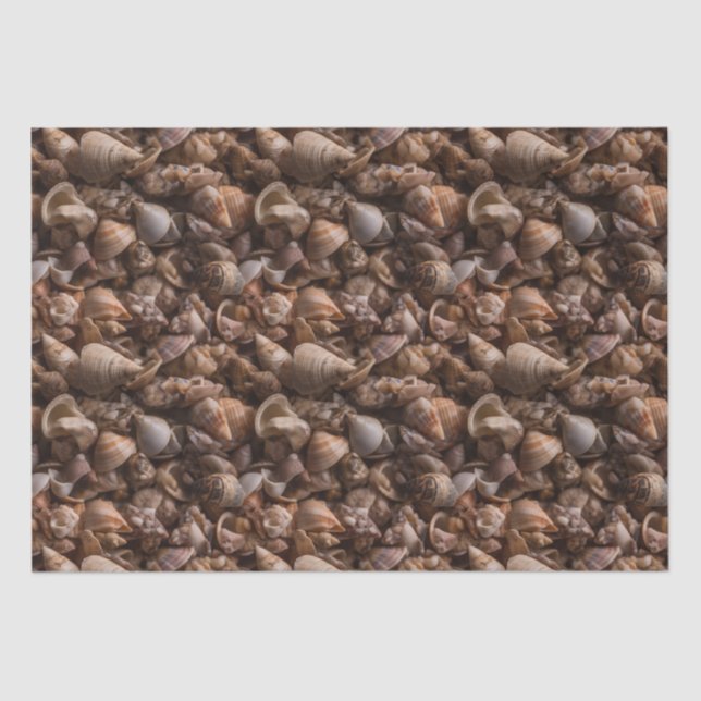 Box of Seashells Repeating Pattern Tissue Paper (Front)