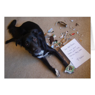 Box. Status == Destroyed.