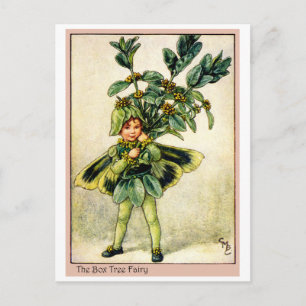 Box Tree Fairy Postcard