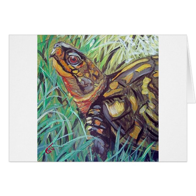 Box Turtle (Front Horizontal)