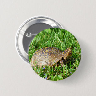 Box Turtle 6 Cm Round Badge