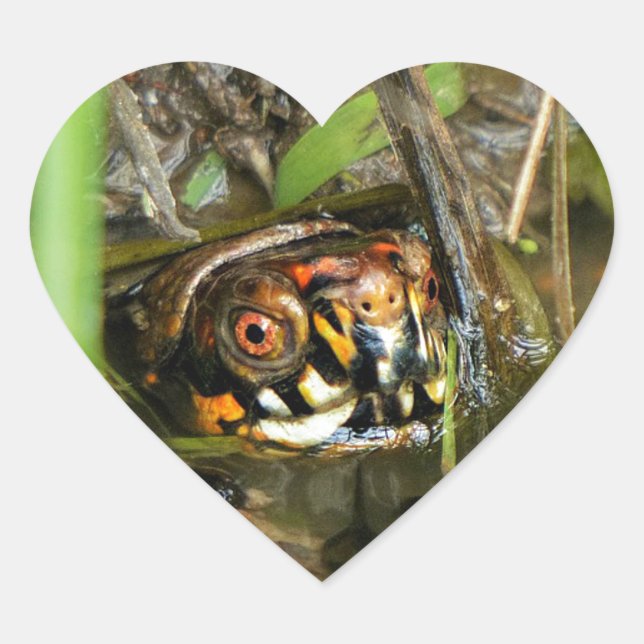 Box Turtle and Tadpoles Heart Sticker (Front)