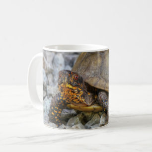 Box Turtle Coffee Mug