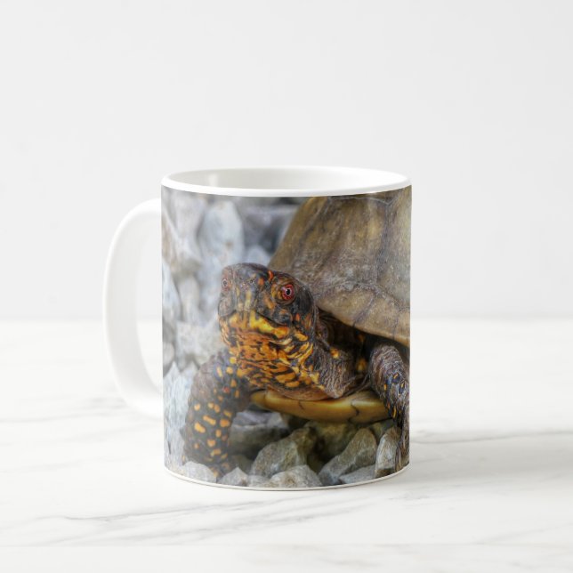Box Turtle  Coffee Mug (Front Left)