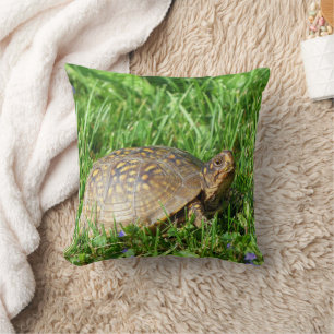 Box Turtle Cushion