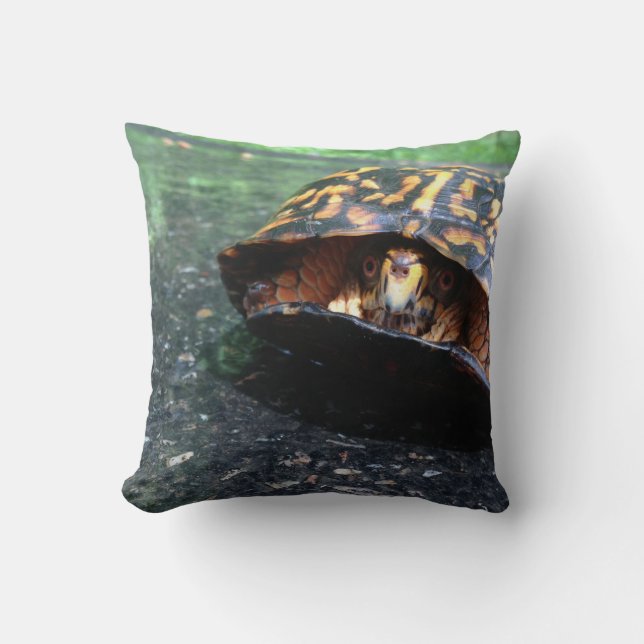 Box Turtle Cushion (Front)