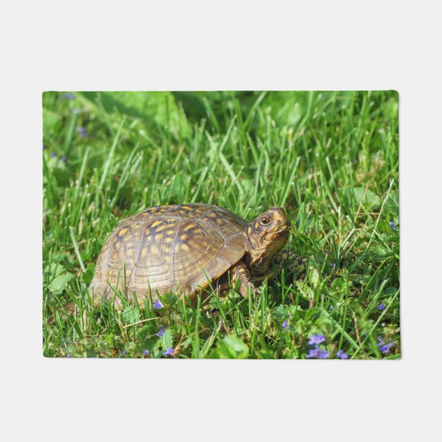 Box Turtle Doormat (Front)
