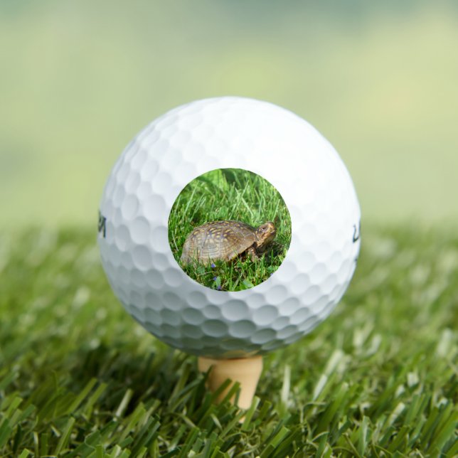 Box Turtle Golf Balls (Insitu Tee)