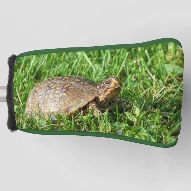 Box Turtle Golf Head Cover (Front)