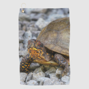 Box Turtle  Golf Towel