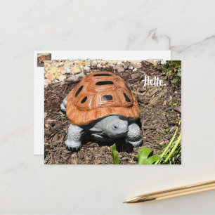 Box Turtle, Hello or your text, Custom Postcards