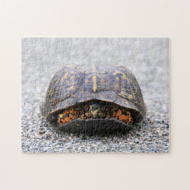 Box Turtle Jigsaw Puzzle (Horizontal)