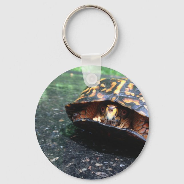 Box Turtle Key Ring (Front)