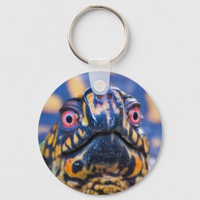 Box Turtle Keychain (Front)