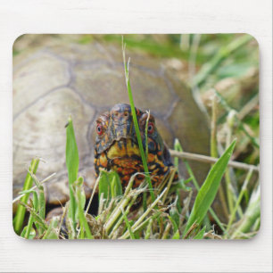 Box Turtle Mouse Pad