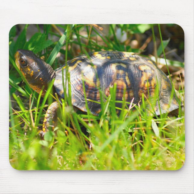 Box Turtle Mousepad (Front)