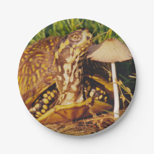 Box Turtle Mushroom Paper Plate