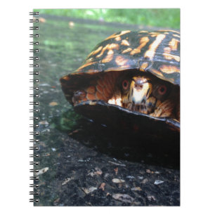 Box Turtle Notebook