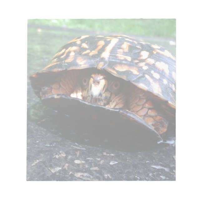 Box Turtle Notepad (Front)