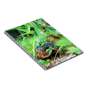 Box Turtle Spiral Notebook