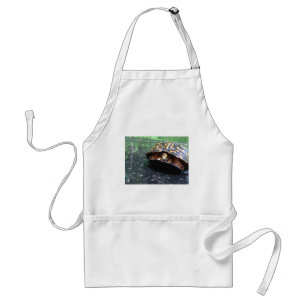Box Turtle Standard Apron