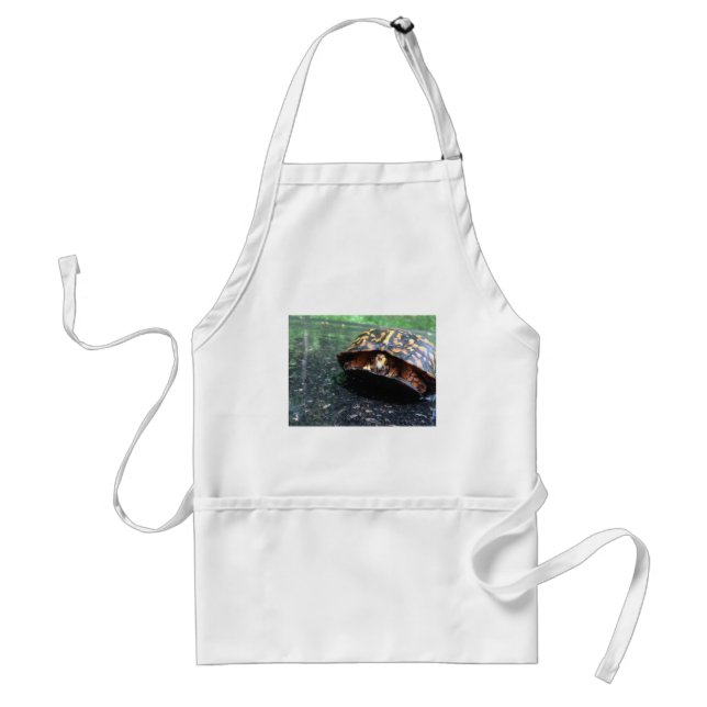 Box Turtle Standard Apron (Front)