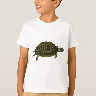 Box Turtle T-Shirt