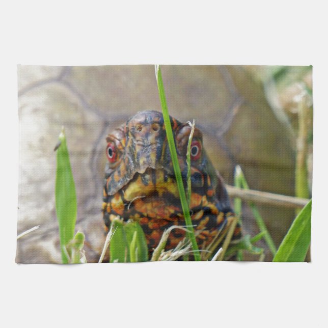 Box Turtle Tea Towel (Horizontal)