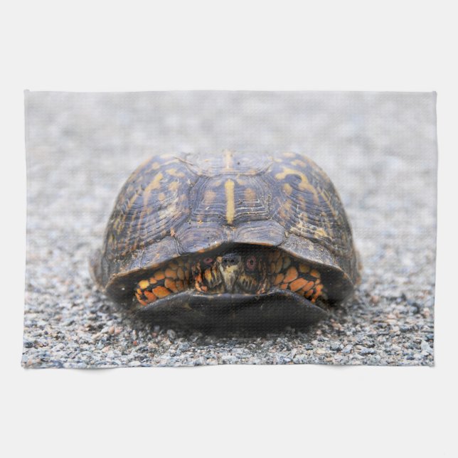 Box Turtle Tea Towel (Horizontal)