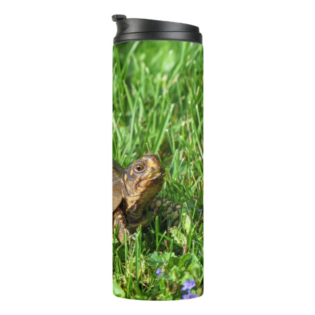 Box Turtle Thermal Tumbler (Rotated Right)