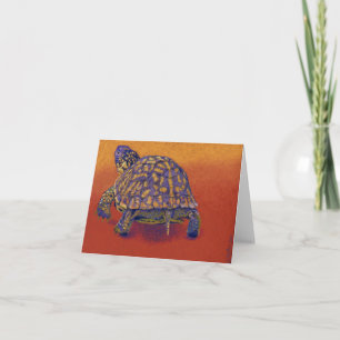 Box Turtle, tortoise Card