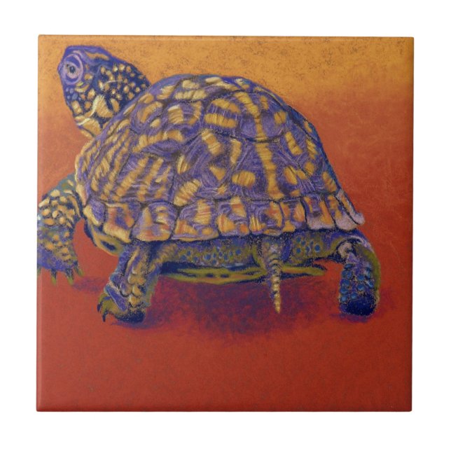 Box Turtle, tortoise Tile (Front)
