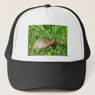Box Turtle Trucker Hat