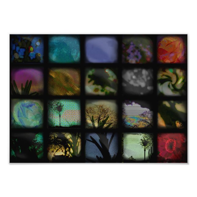 BOXED IN PHOTO PRINT (Front)