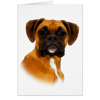 Boxer