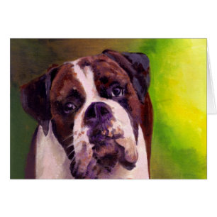 Boxer