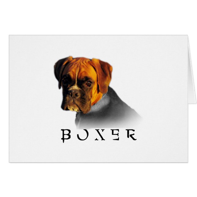 Boxer (Front Horizontal)