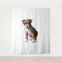 Boxer 1