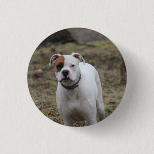 Boxer 3 cm round badge