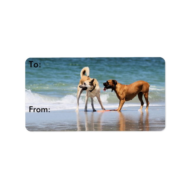 Boxer and Pal - Was that a Dolphin? Label (Front)