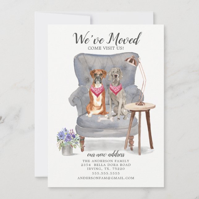 Boxer and Weimaraner Dog Moving Announcement (Front)