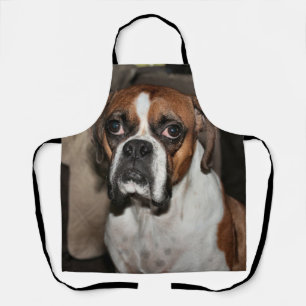 Boxer Apron