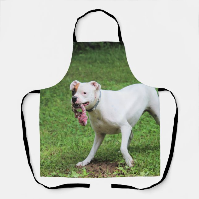 Boxer Apron (Front)