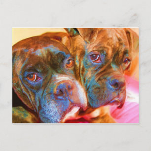 Boxer Art postcard