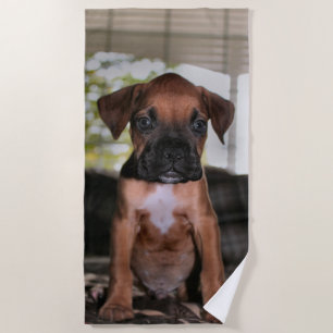 Boxer baby beach towel